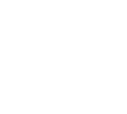 Holy Cow! official logo